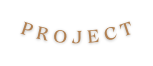 PROJECT